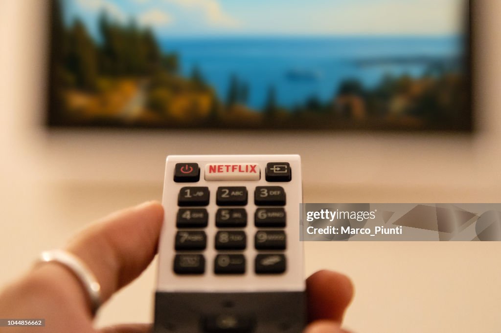 TV Remote Control with Netflix Button