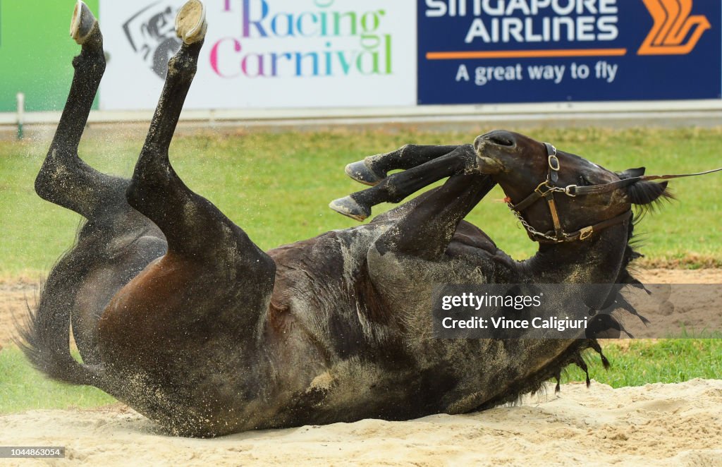 Racing Victoria's International Horse Centre Media Opportunities