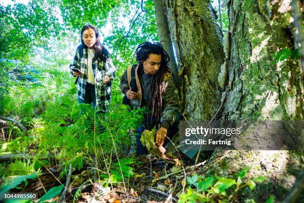 geocaching.  a millennial couple out geocaching in the woods - geocaching stock pictures, royalty-free photos & images