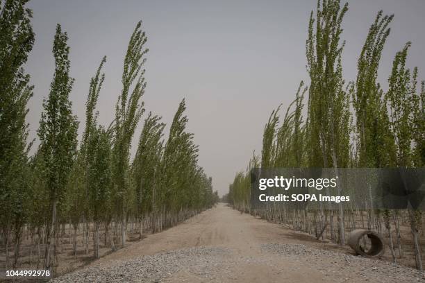 View on the way that lead to the Imam Asim tomb in the Taklamakan desert near the small town of Jiya in Xinjiang Uyghur Autonomous Region in China....