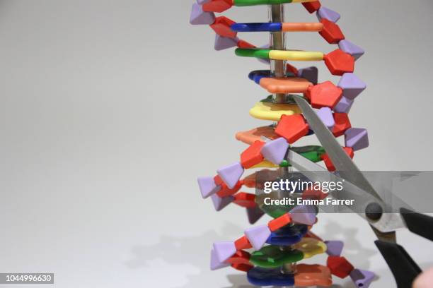 Dna Scissors Lab 114 Dna Scissors Stock Photos, High-Res Pictures, and Images - Getty Images