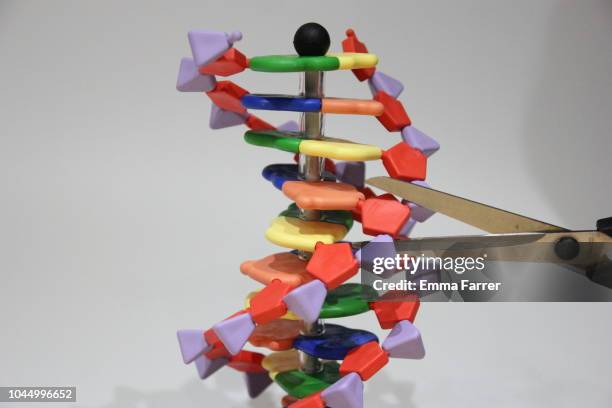 dna strand being cut by scissors - crispr stock pictures, royalty-free photos & images