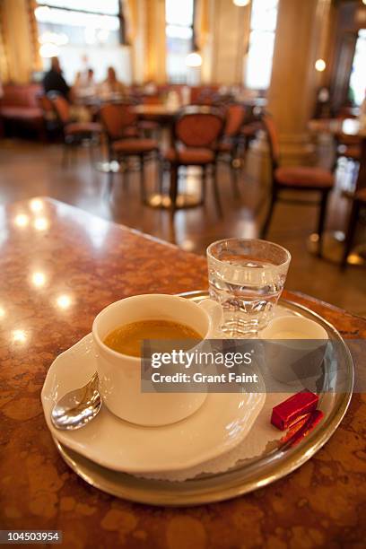 detail view of coffee in cafe. - traditionally austrian 個照片及圖片檔