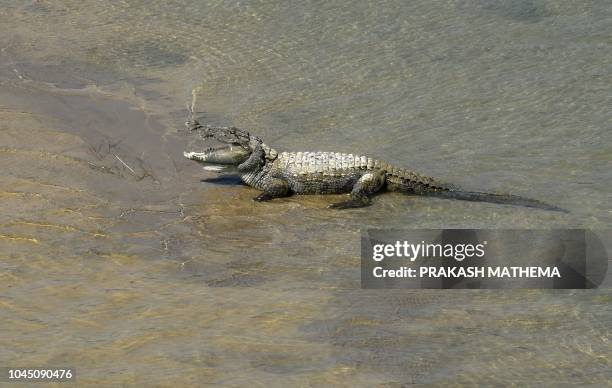 Babai R 11 Babai River Stock Photos, High-Res Pictures, and Images - Getty Images
