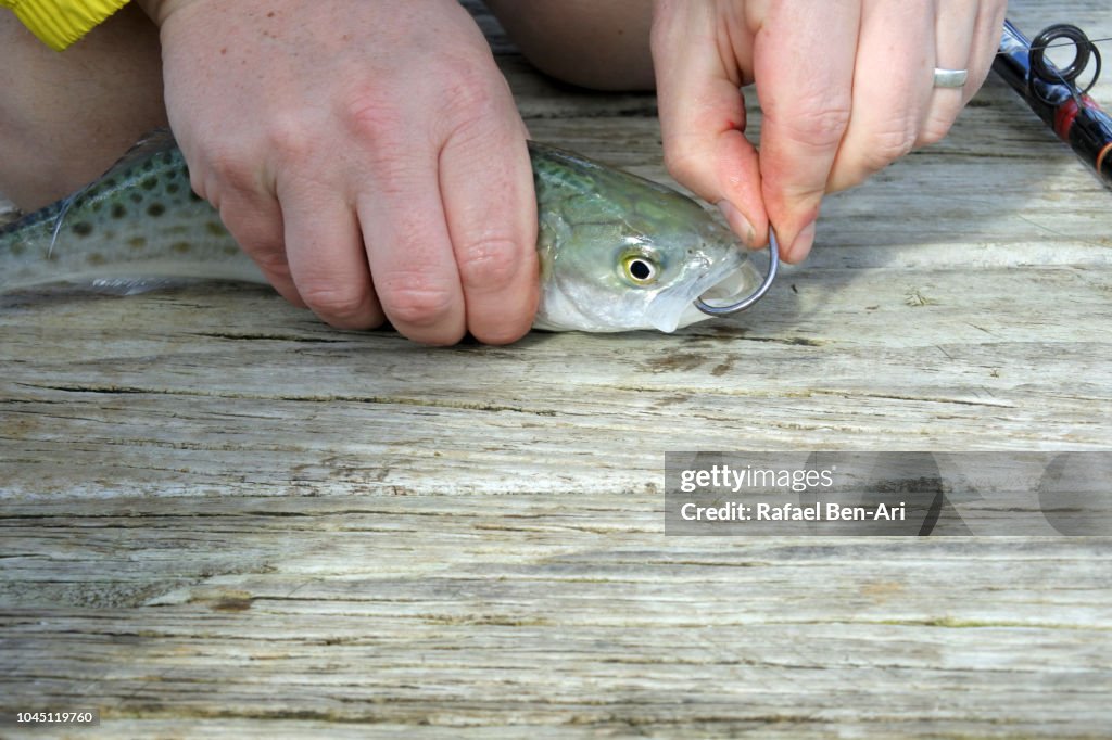 Man Rig a Live Bait on a Fishing Rod