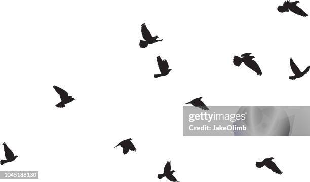 stockillustraties, clipart, cartoons en iconen met duiven vliegen silhouetten 3 - vogel silhouet