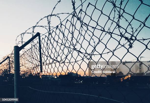 grid fence with barbed wire against sunset - barbed wire fencing stock pictures, royalty-free photos & images