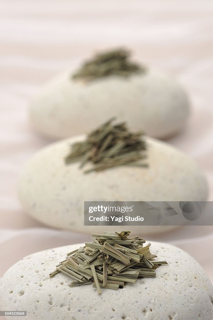 The Lemongrass herb put on the stone
