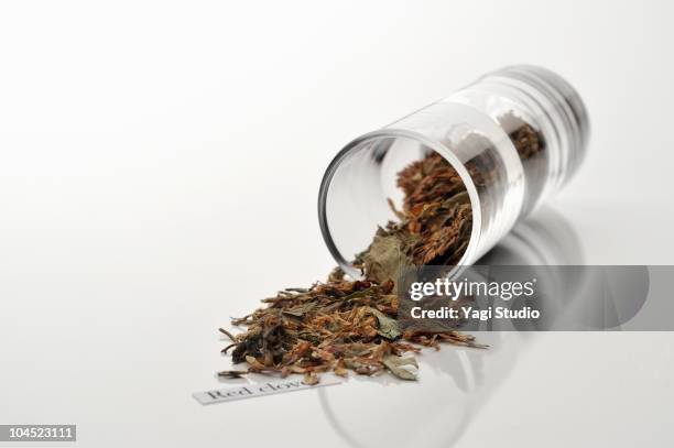 red clover herb - clover sprouts stock pictures, royalty-free photos & images