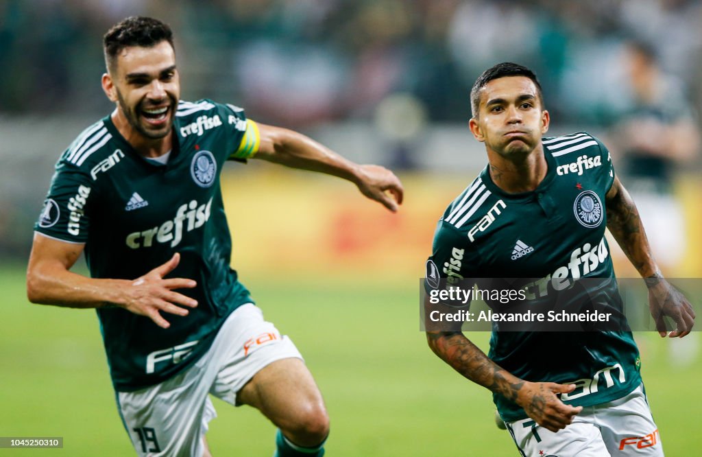 Palmeiras v Colo Colo - Copa CONMEBOL Libertadores 2018