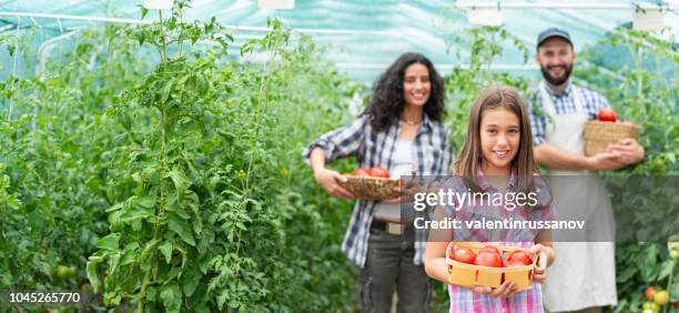 family in their farm - orgânico imagens e fotografias de stock