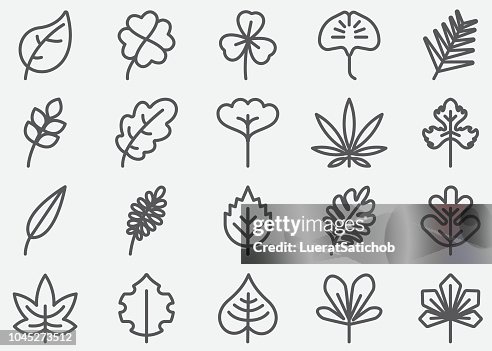Leaf Shape Line Icons Leaf Shape Line Icons