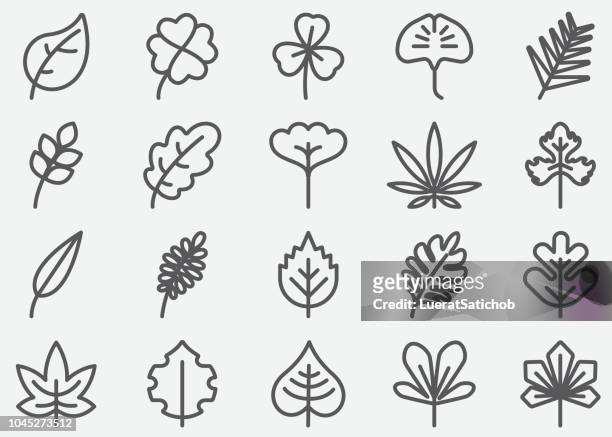 leaf shape line icons - maple tree stock illustrations