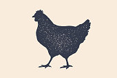 Hen, chicken. Vintage logo, retro print, poster for Butchery