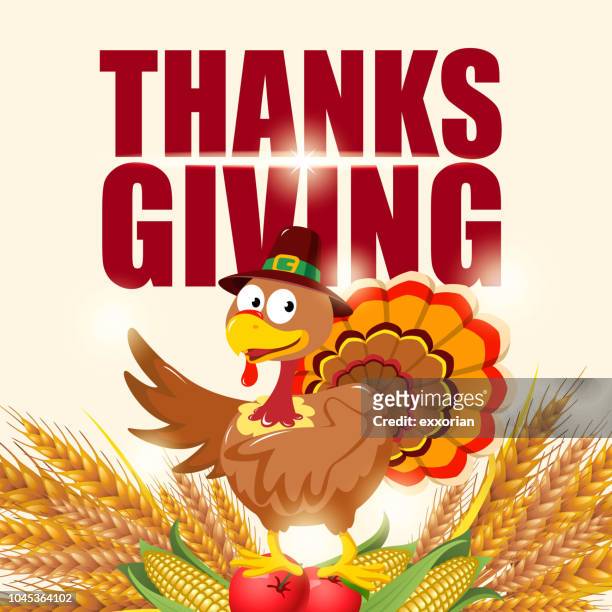thanksgiving turkey with crops - cartoon thanksgiving stock illustrations