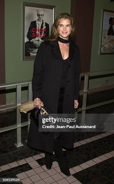 Brooke Shields during Screening of "Chop Suey" Directed by Bruce Weber at Laemmle Fairfax Theatre in Los Angeles, California, United States.
