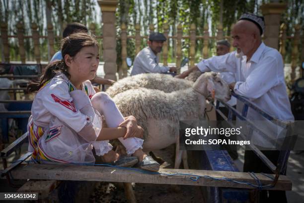 Young lady waits for customers at a livestock market in Kashgar city, northwestern Xinjiang Uyghur Autonomous Region in China. The Kashgar Livestock...