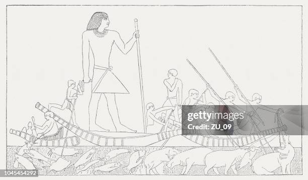 stockillustraties, clipart, cartoons en iconen met egyptische papyrus boten (rond 3000 v.chr.), houtgravure, gepubliceerd 1885 - papyrusriet
