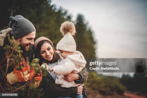 happy parents with their daughter picking out a christmas tree - family christmas tree stock pictures, royalty-free photos & images