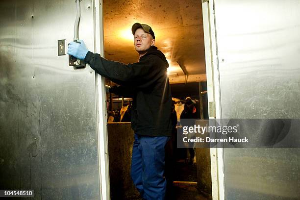 Next generation farmer Rick Roden milks cows early in the morning at the Rob-N-Cin farm on September 29, 2010 in West Bend, Wisconsin. Their farm has...