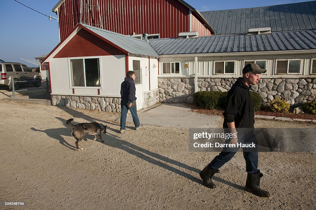 U.S. Dairy Farming Still A Struggle Despite Rise In Milk Prices