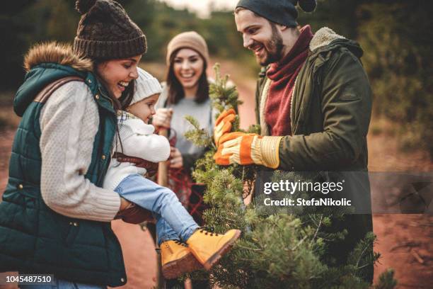 christmas tree farm - baumschule stock-fotos und bilder