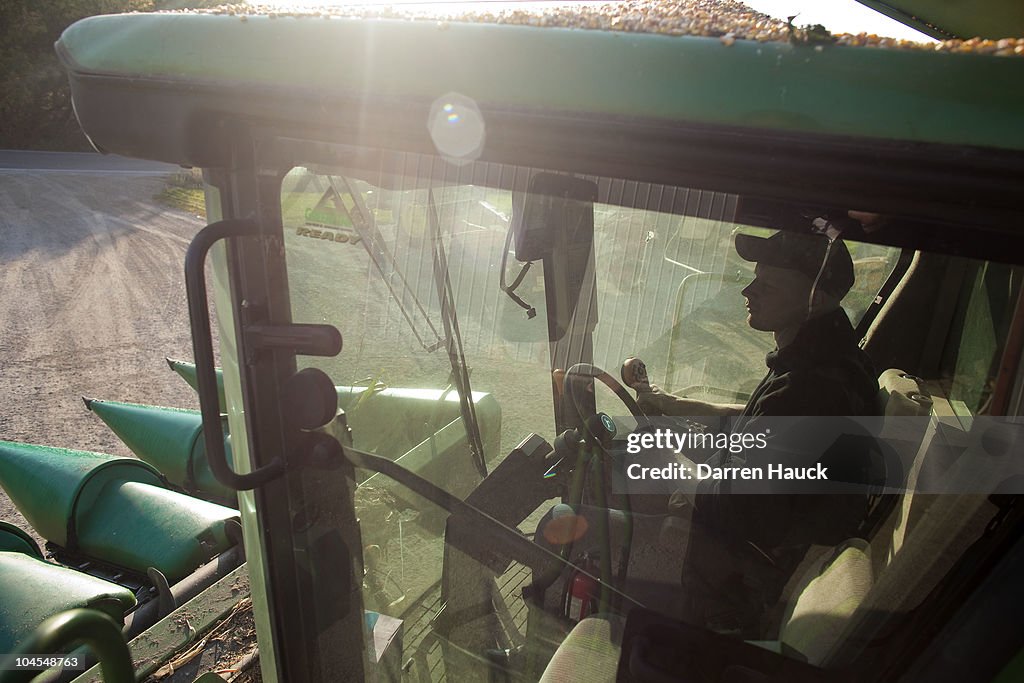 U.S. Dairy Farming Still A Struggle Despite Rise In Milk Prices