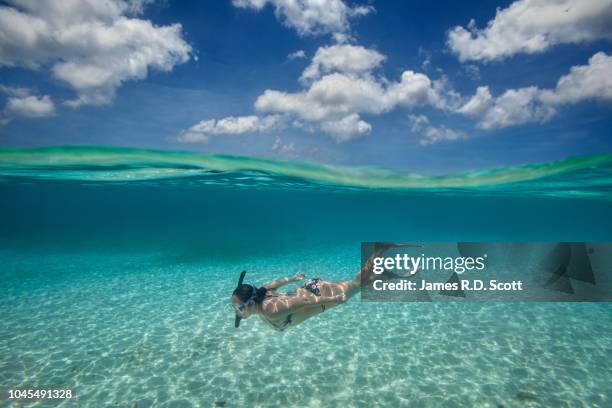 underwater view of snorkeler in cozumel - cozumel mexico stock pictures, royalty-free photos & images