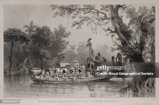 Amazon Two Rivers Draw 1,226 Amazon River Bank Stock Photos, High-Res Pictures, and Images ...