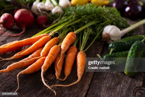 garden vegetables - carrot farm stock pictures, royalty-free photos & images