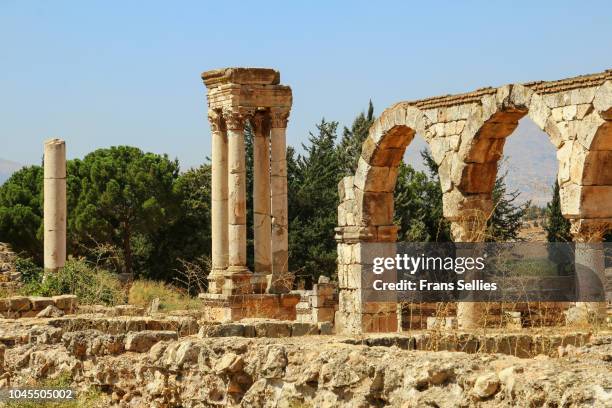 ruins of the umayyad city of anjar, bekaa valley, lebanon - umayyad dynasty stockfoto's en -beelden