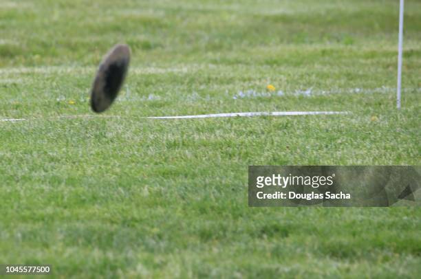 flying discus at a throwing track and field event - lancer du disque photos et images de collection