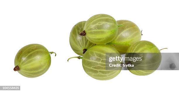 verde sobre fondo blanco de gooseberry - grosella fotografías e imágenes de stock