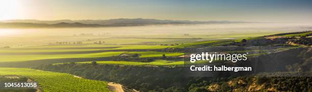 mañana de niebla monterey condado viñedos - panorama aéreo - central california fotografías e imágenes de stock