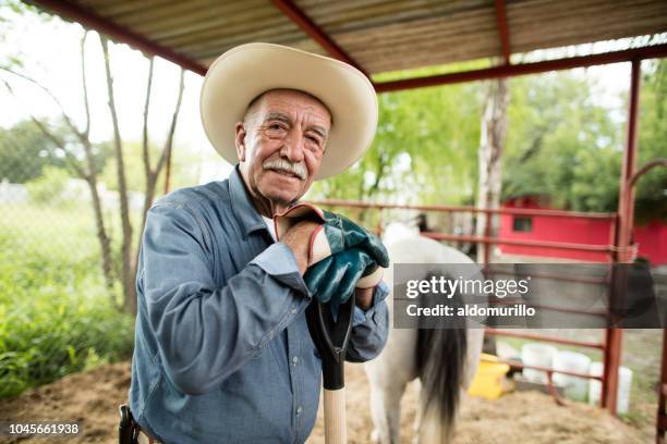 happy senior mexican man working on horse ranch - mexican mustache stock pictures, royalty-free photos & images