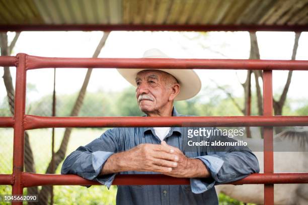 Lovely senior mexican man standing behind horse fence