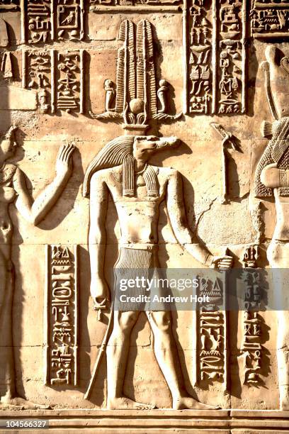 anubis god carving in kom ombo temple - anubis egyptian god stock pictures, royalty-free photos & images