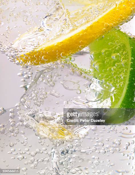 lemon lime and ice - gin and tonic stock pictures, royalty-free photos & images