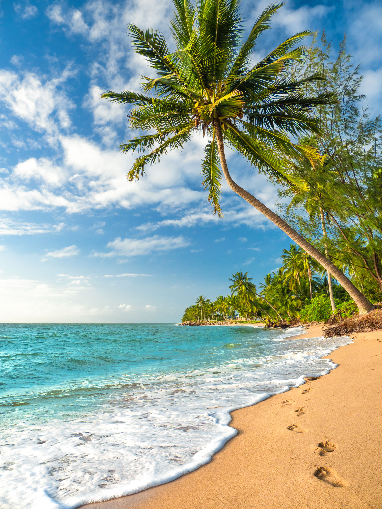 tropical island beach