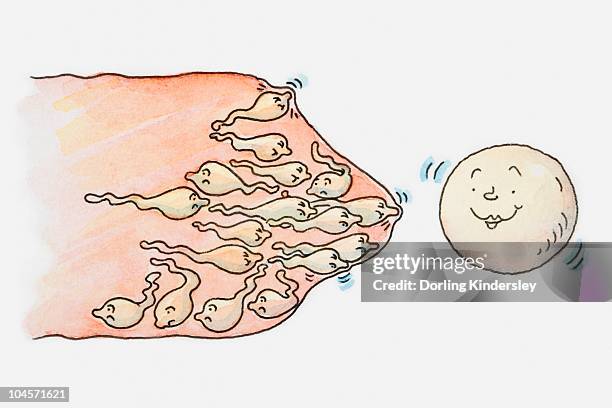 ilustraciones, imágenes clip art, dibujos animados e iconos de stock de illustration of a group of sperm trapped in a condom near egg, all with anthropomorphic faces - preservativo