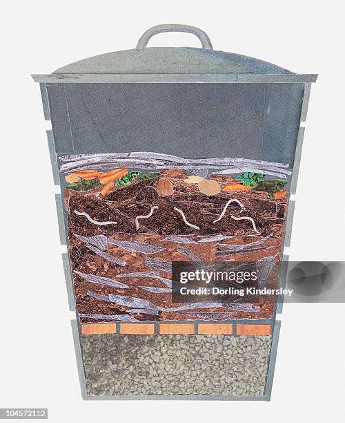 illustration of a compost bin, cross section - compost bin stock illustrations