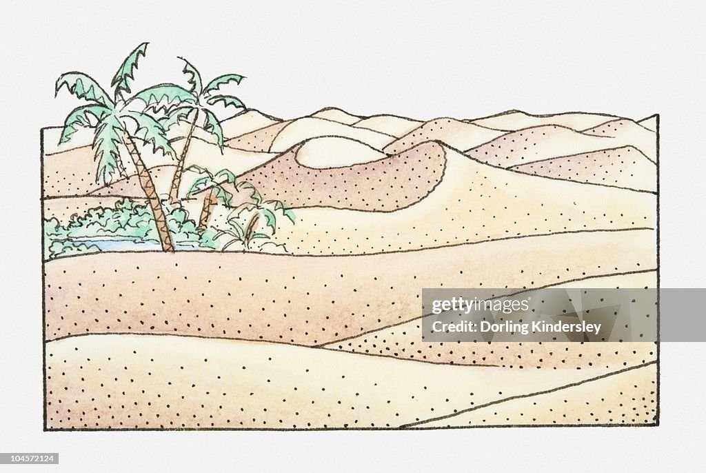 Illustration of a desert landscape with palm trees