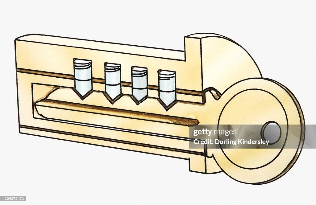 Key Section Vector Cross Section Iillustration Of Key In Lock High-Res Vector Graphic ...