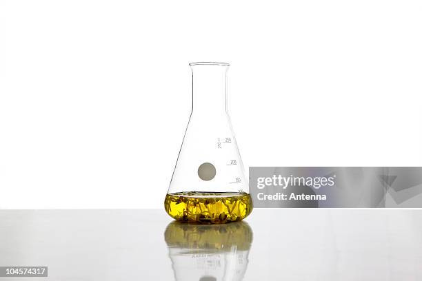 a beaker filled with fluid and plants - bouteille d'erlenmeyer photos et images de collection