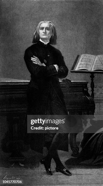 franz liszt (xxxl) - franz-liszt stock illustrations