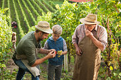 Vineyard know-how from fathers to sons