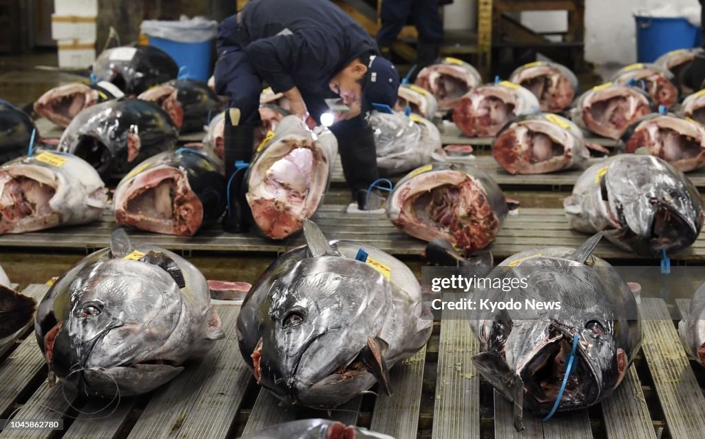 Tsukiji market scenes ahead of relocation
