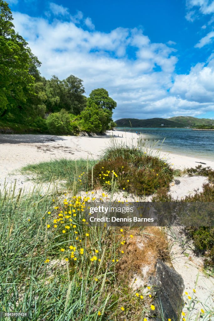 Silver sands of Morar, near Mallaig, Road to Isles, Highland Region, Scotland