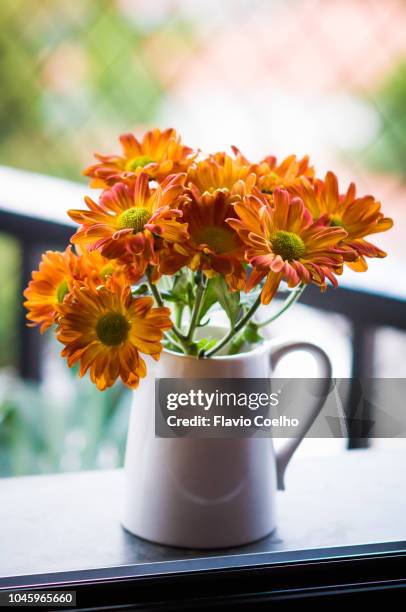 orange chrysanthemum flowers decorating window sill - chrysanthemum stock pictures, royalty-free photos & images