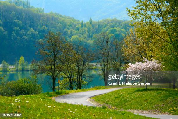 spring scenery - rhone river stock pictures, royalty-free photos & images